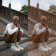 Load image into Gallery viewer, LR Desktop Preset - LEAVES