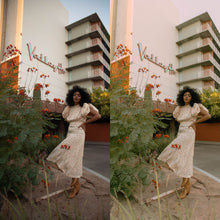 Load image into Gallery viewer, LR Mobile Preset - DEVELOPED