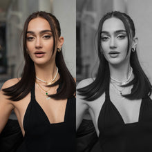 Load image into Gallery viewer, LR Desktop Preset - B&W